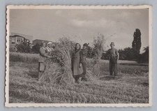 Landwirtschaft Bauern