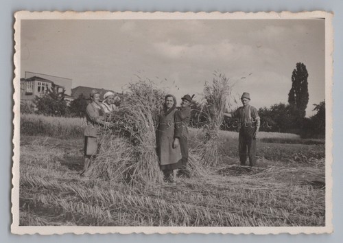 Landwirtschaft bauern - landwirtschaft,